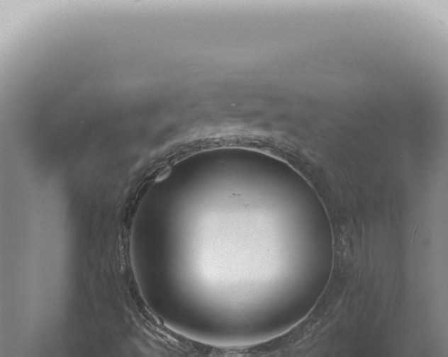 X0000060581493200511101642