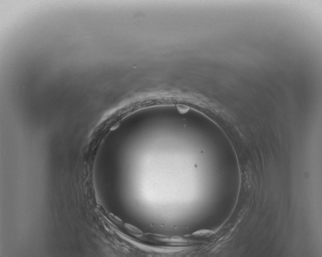 X0000060581494200511101642