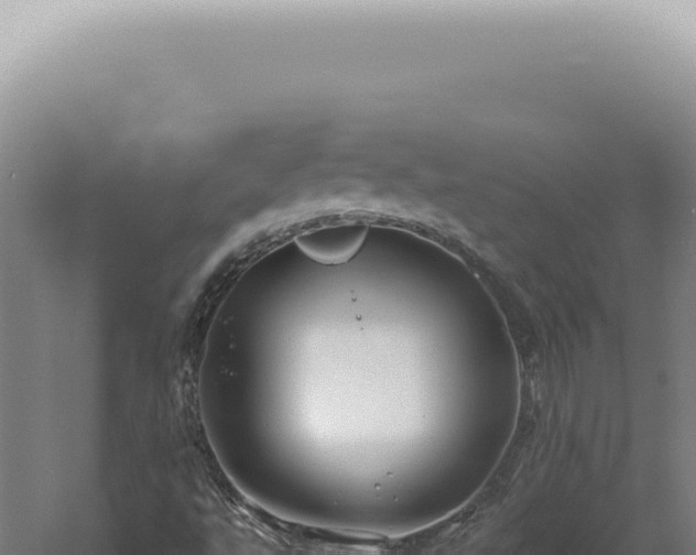 X0000060581495200511101642