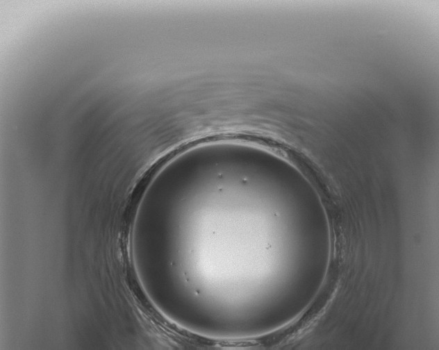 X0000060581497200511101642