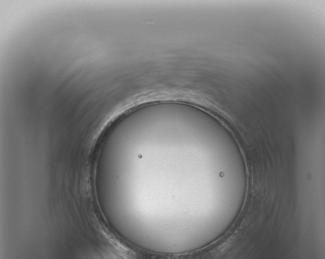 X0000060581498200511101642