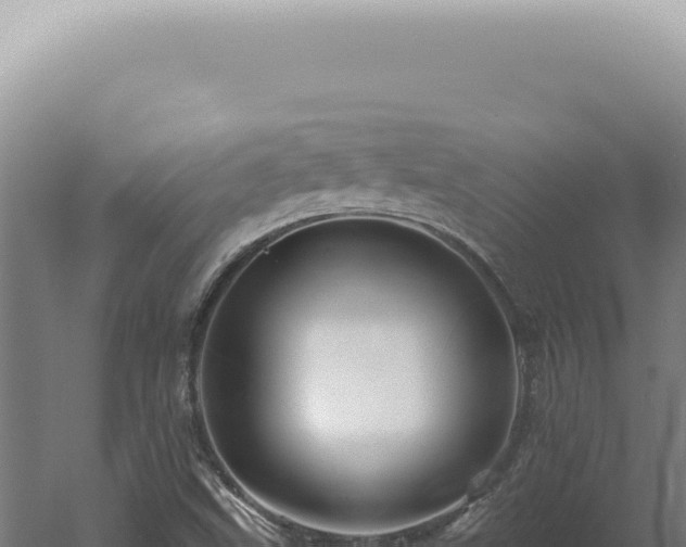 X0000060581499200511101642