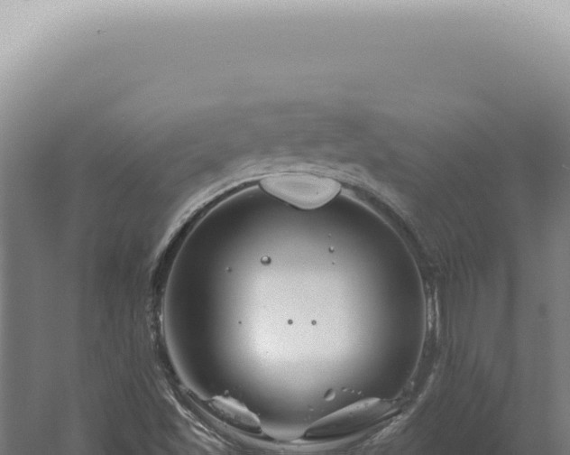 X0000060581501200511101642