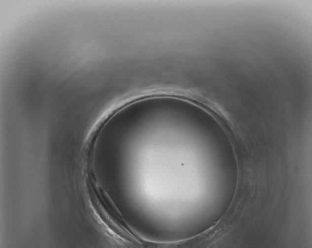 X0000060581504200511101642