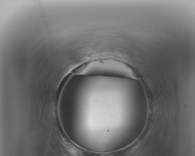 X0000060581505200511101642