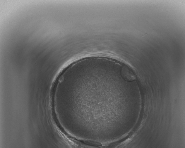 X0000060581506200511101642