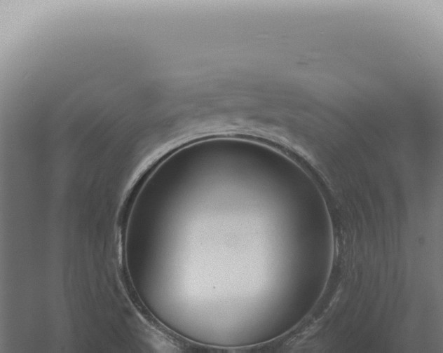 X0000060581509200511101642