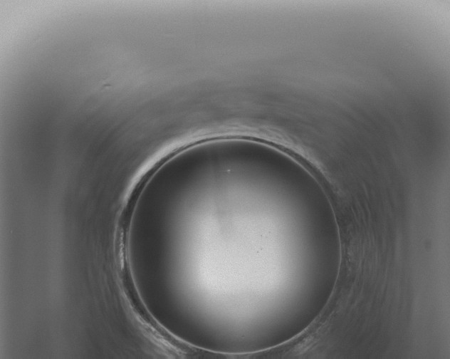 X0000060581510200511101642