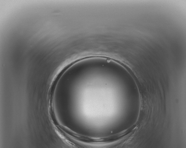 X0000060581511200511101642