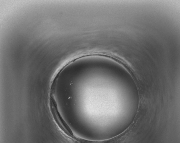 X0000060581512200511101642