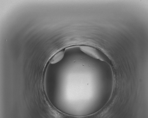 X0000060581513200511101642