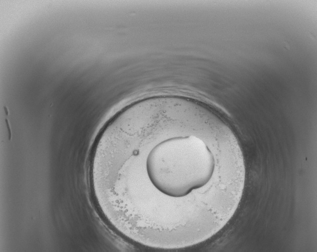 X0000060581514200511101642