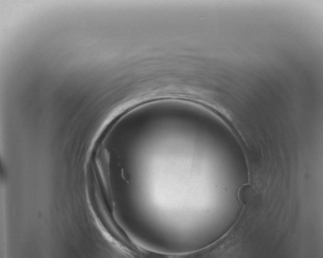 X0000060581515200511101642