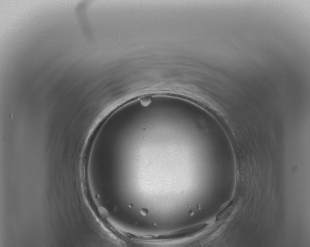 X0000060581517200511101642