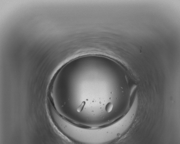 X0000060581518200511101642