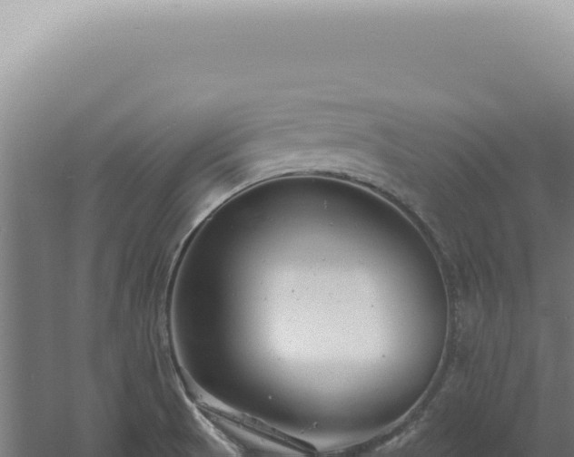 X0000060581521200511101642