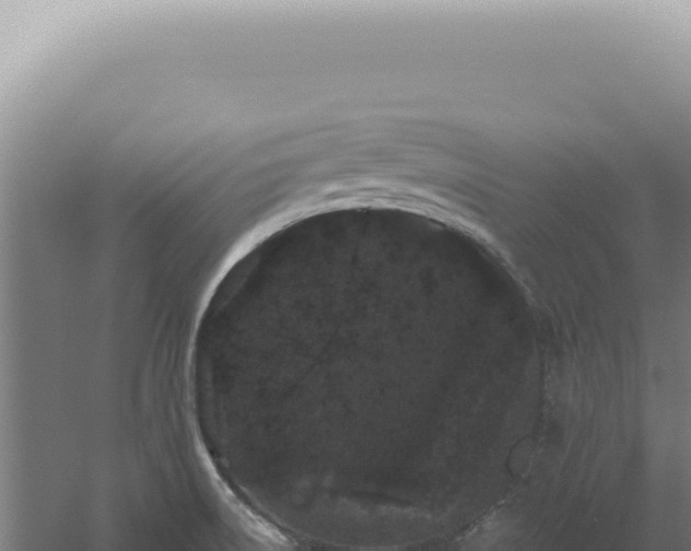 X0000060581522200511101642