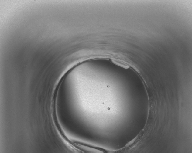 X0000060581523200511101642