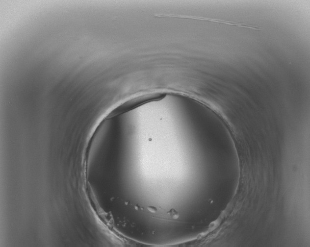 X0000060581524200511101642