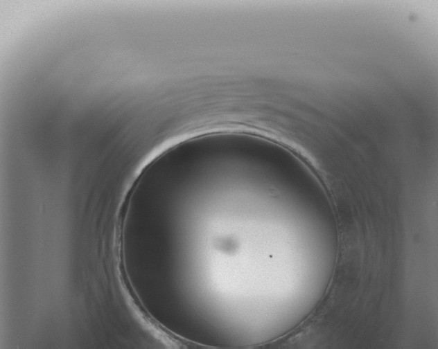 X0000060581526200511101642