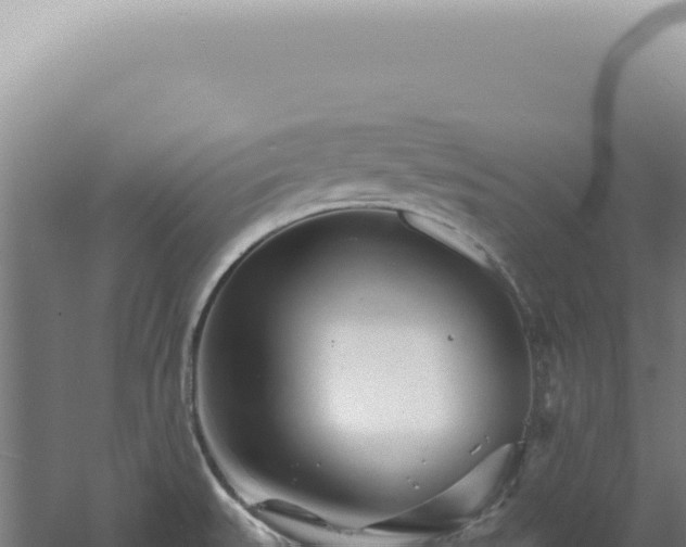 X0000060581527200511101642