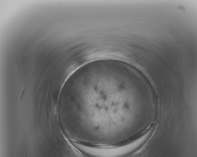 X0000060581529200511101642