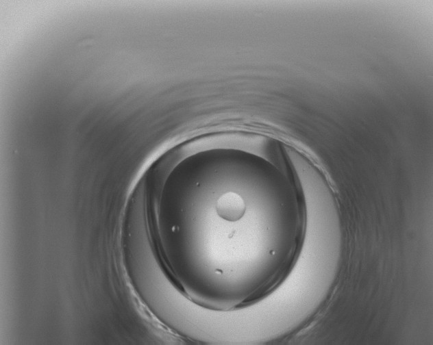 X0000060581530200511101642