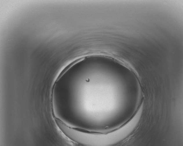 X0000060581532200511101642