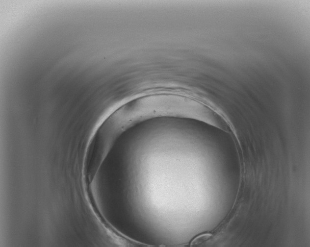 X0000060581533200511101642