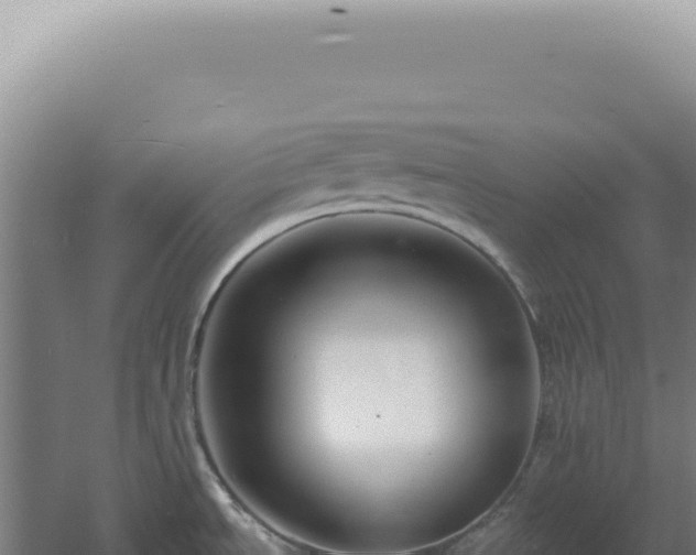 X0000060581534200511101643