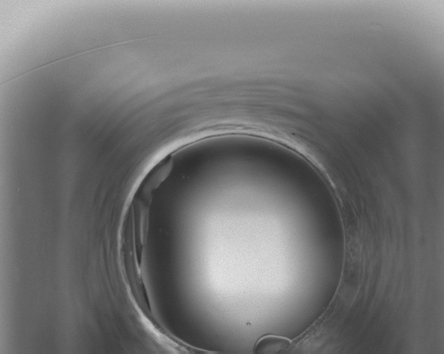 X0000060581535200511101643