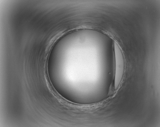 X0000060580001200511171709