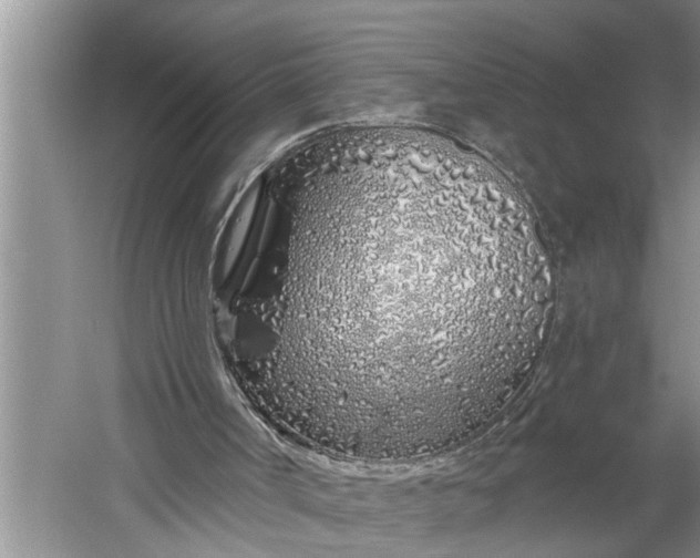 X0000060580002200511171709