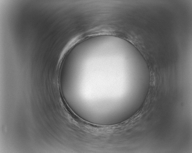 X0000060580004200511171709