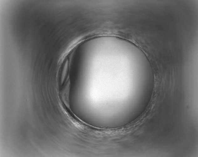 X0000060580005200511171709