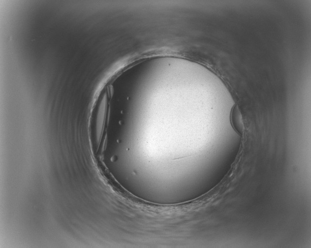 X0000060580006200511171709