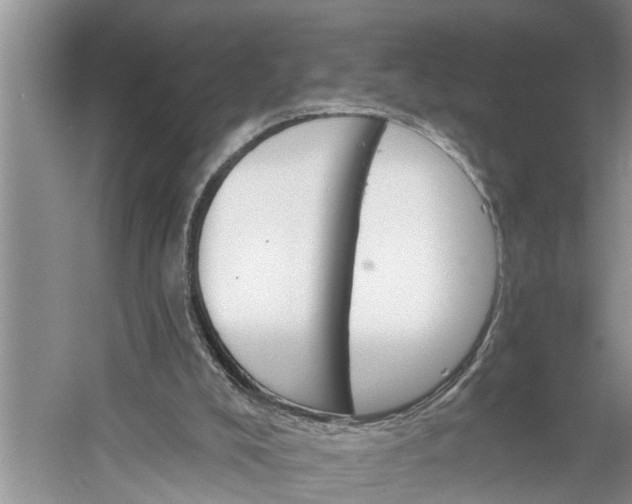 X0000060580008200511171709