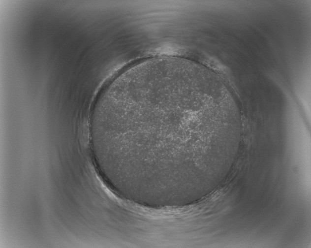 X0000060580012200511171709