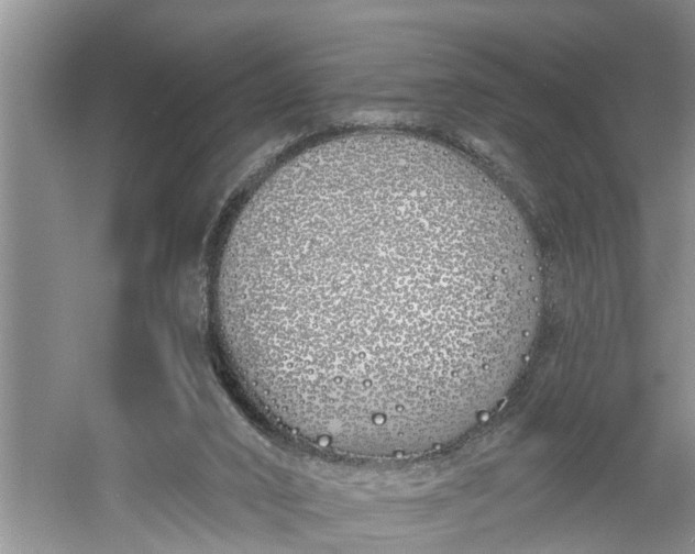 X0000060580016200511171709