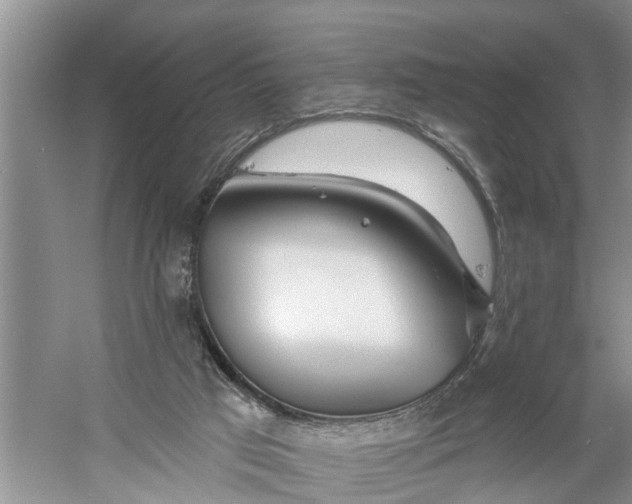 X0000060580017200511171709