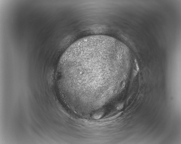 X0000060580018200511171709