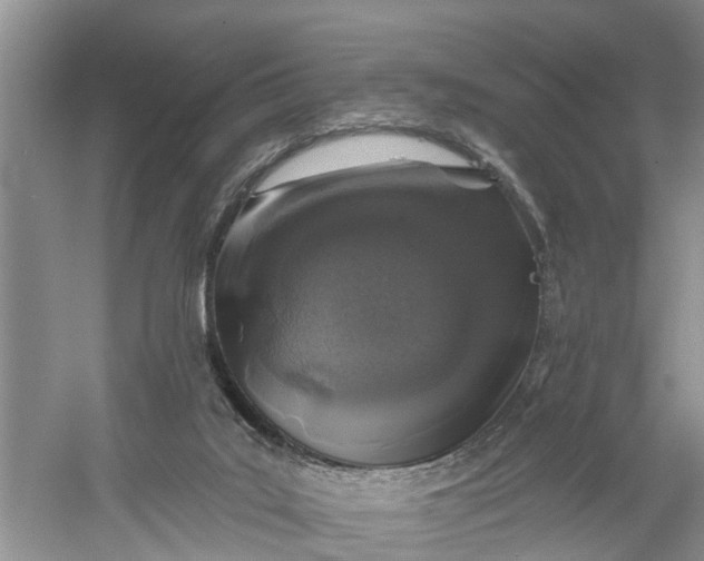 X0000060580019200511171709