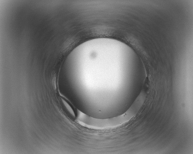 X0000060580021200511171709