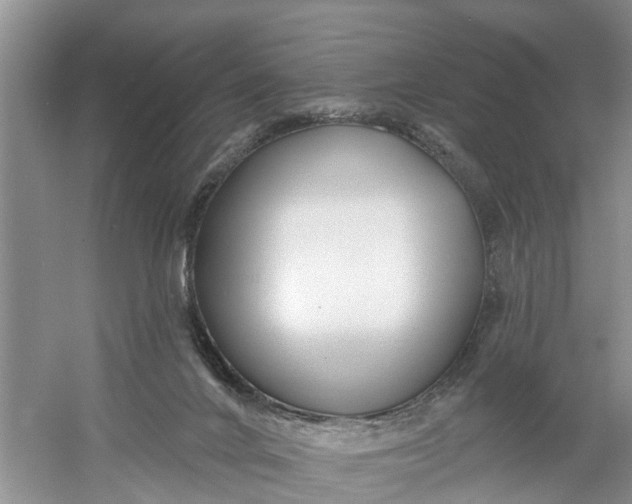 X0000060580024200511171709