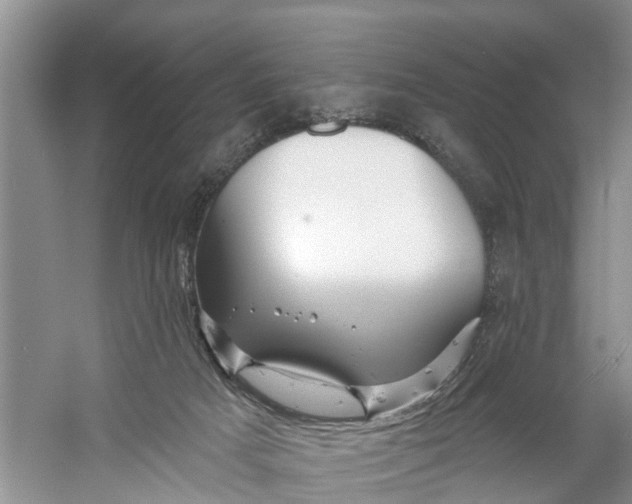 X0000060580025200511171709