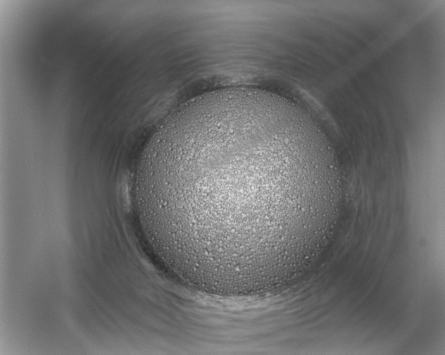 X0000060580026200511171709