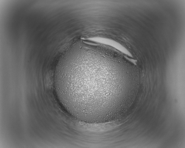 X0000060580030200511171709