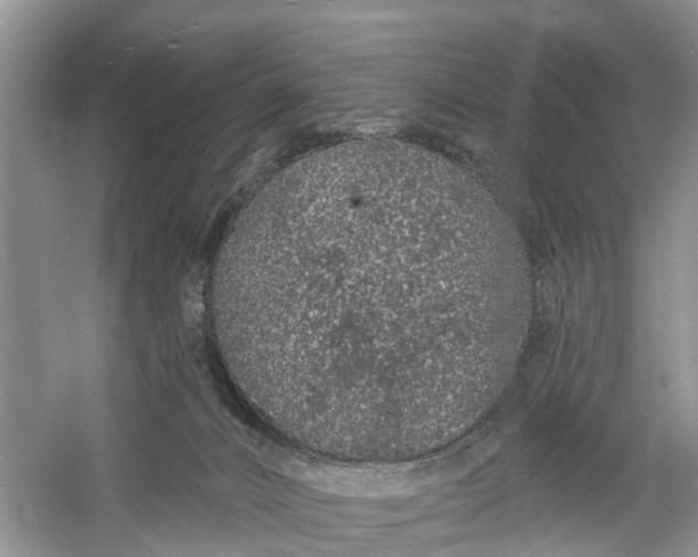 X0000060580032200511171709