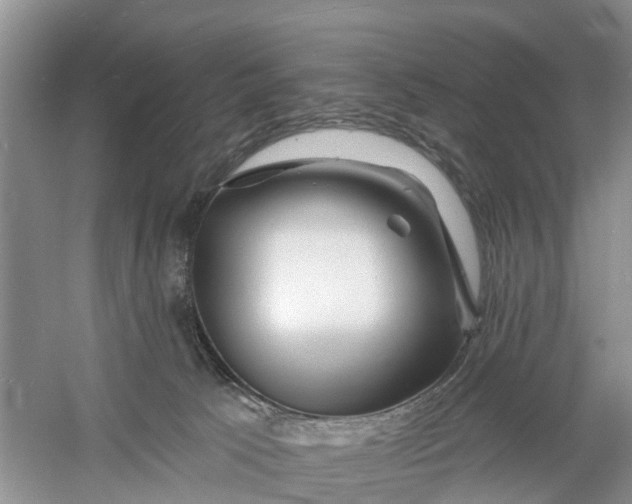 X0000060580033200511171709