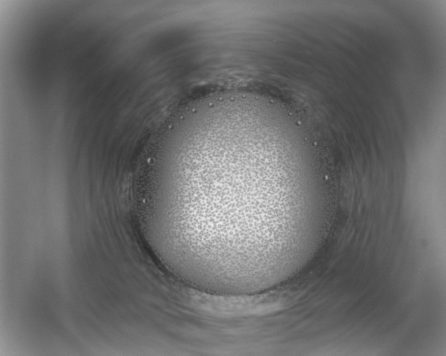 X0000060580034200511171709